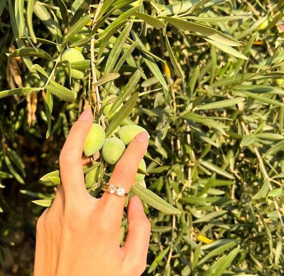 高级大房间, Terre Villa Katia