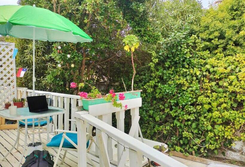 テラス付きスタンダードルーム, The Ocean Bed & Breakfast