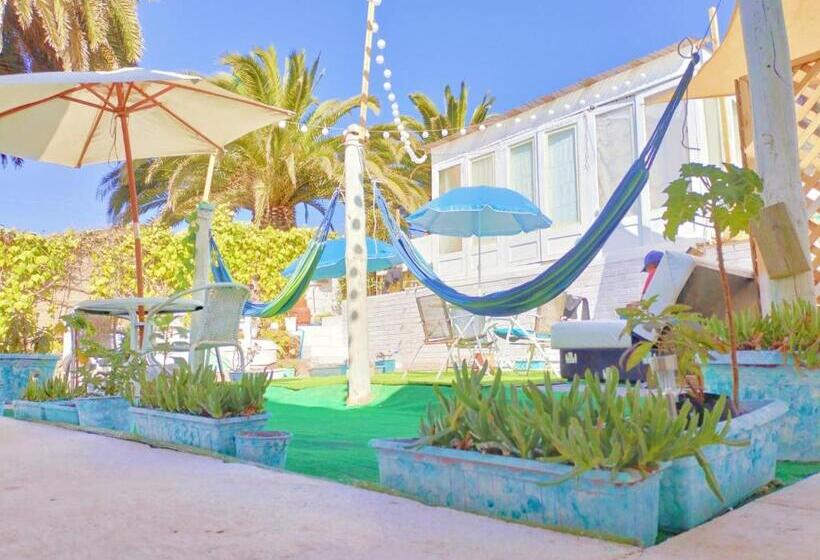 オーシャンビュースタンダードルームバルコニー付き, The Ocean Bed & Breakfast