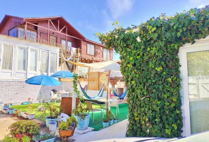 オーシャンビュースタンダードルームバルコニー付き, The Ocean Bed & Breakfast