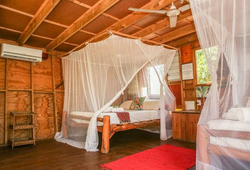 스탠다드 방갈로 정원 전망, Mozambeat Motel