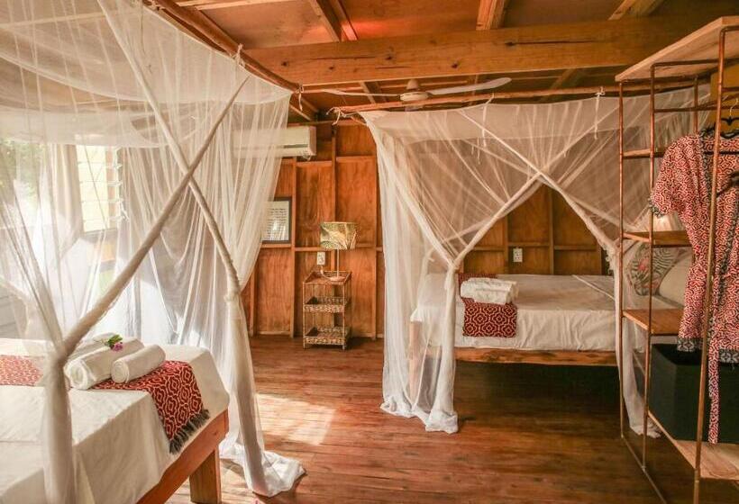 בונגלו סטנדרט עם נוף לגינה, Mozambeat Motel