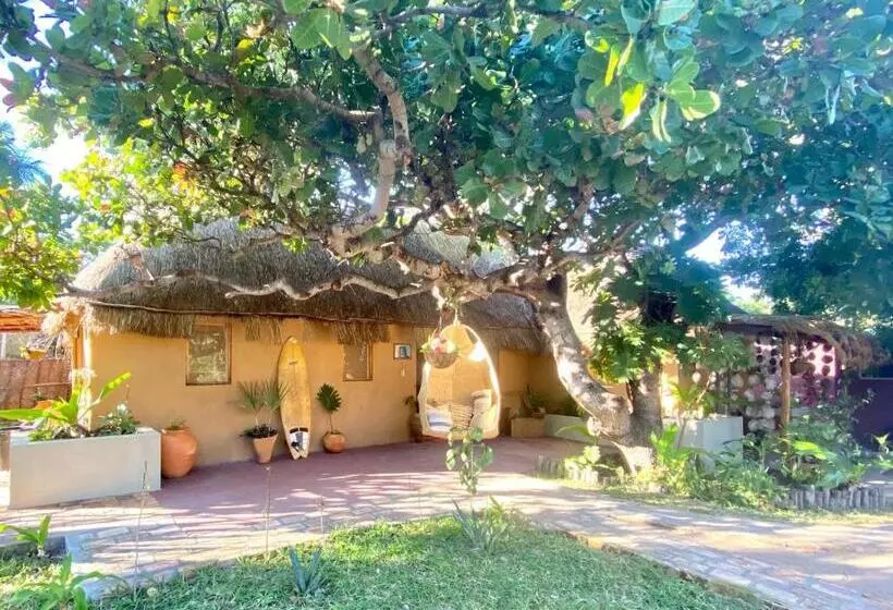 اتاق راحتی سه تخته, Mozambeat Motel