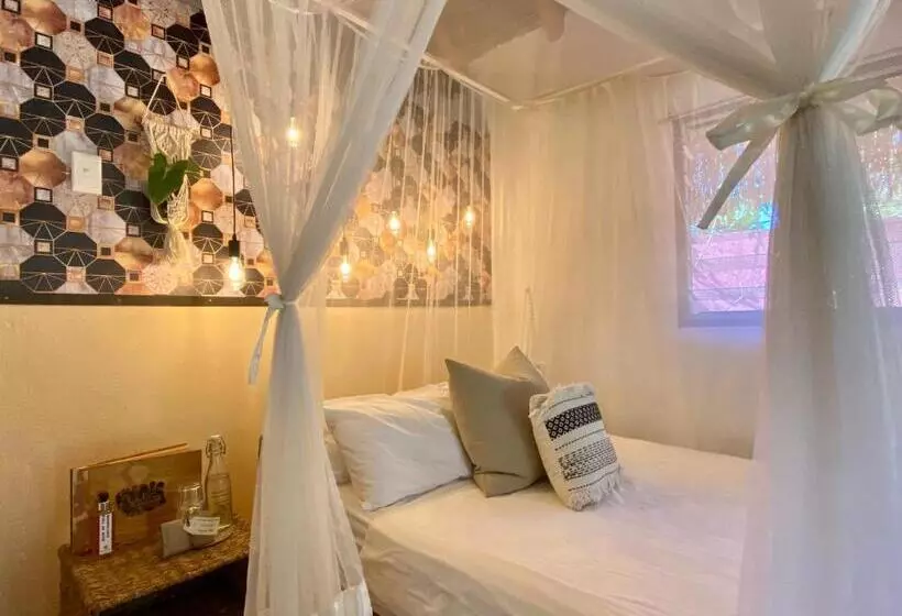 اتاق استاندارد, Mozambeat Motel