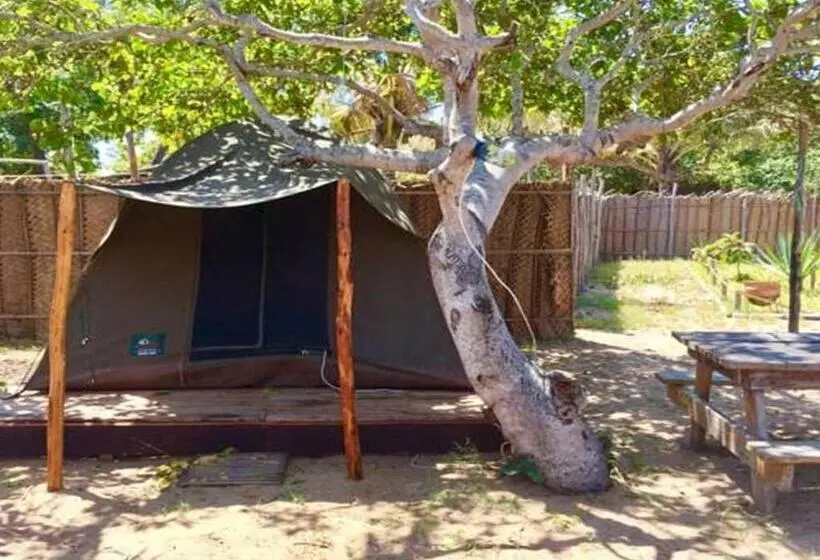 چادر با خدمات رفاهی استاندارد, Mozambeat Motel