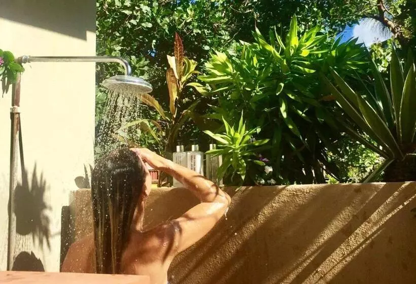 چادر با خدمات رفاهی استاندارد, Mozambeat Motel