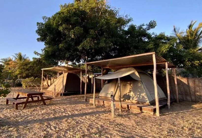 چادر با خدمات رفاهی استاندارد, Mozambeat Motel
