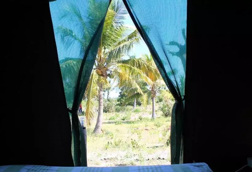 چادر با خدمات رفاهی استاندارد, Mozambeat Motel