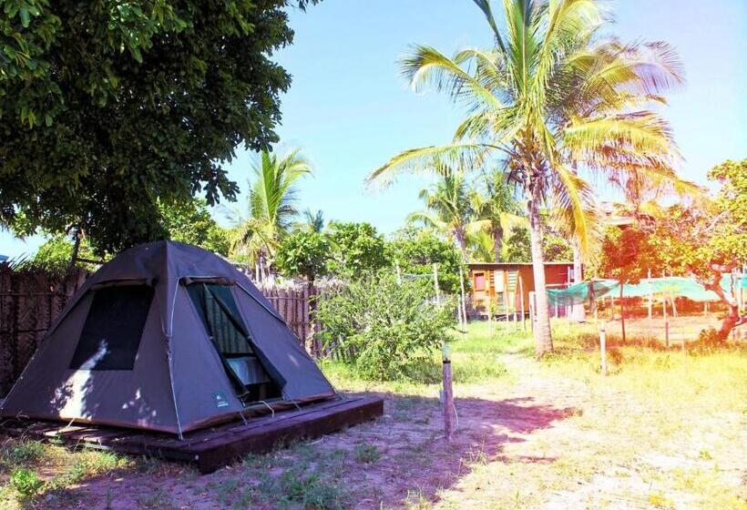Standard Tent, Mozambeat Motel