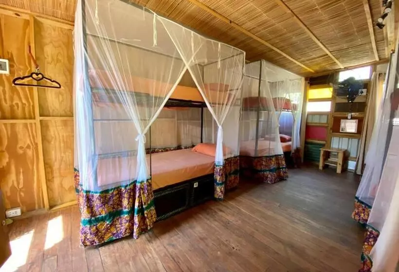 تختخواب در اتاق مشترک, Mozambeat Motel
