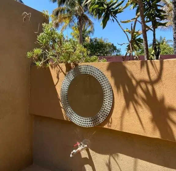 تختخواب در اتاق مشترک, Mozambeat Motel