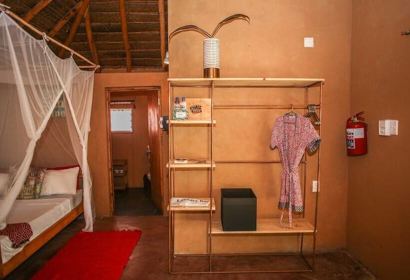 스탠다드 룸, Mozambeat Motel