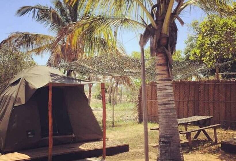 Standard Tent, Mozambeat Motel