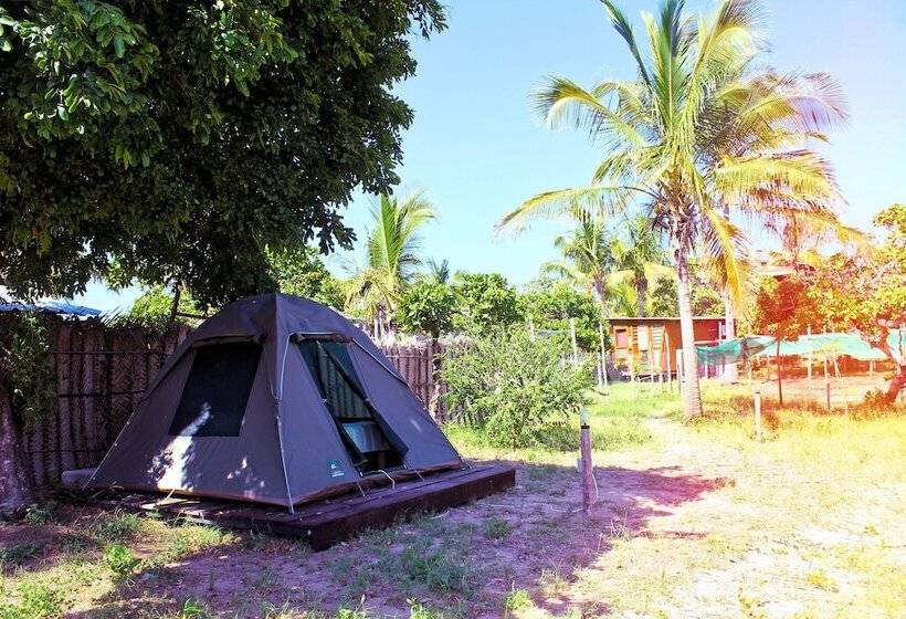 Standard Tent, Mozambeat Motel