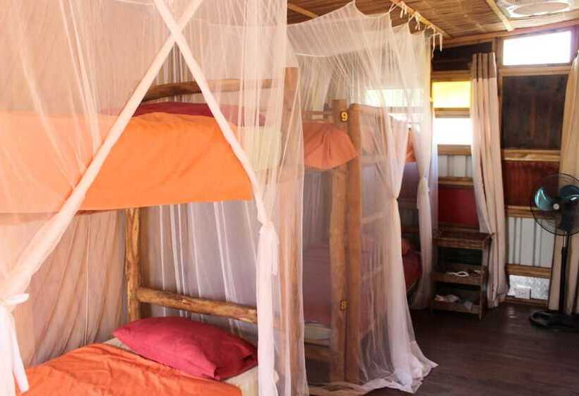 공동 객실, Mozambeat Motel