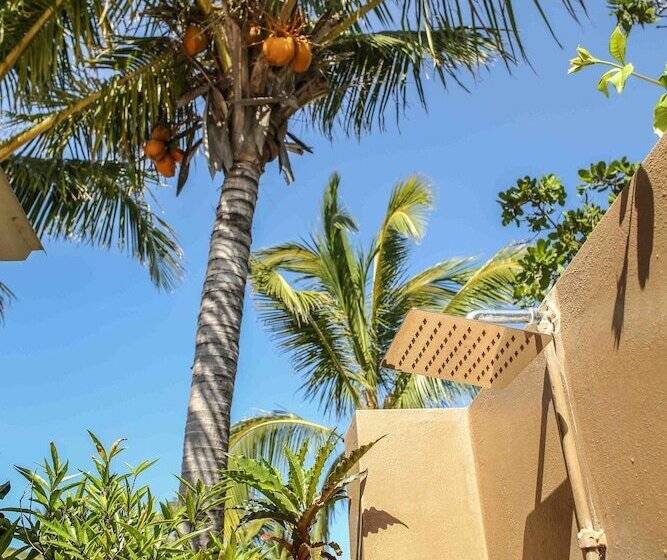 מיטה בחדר משותף, Mozambeat Motel