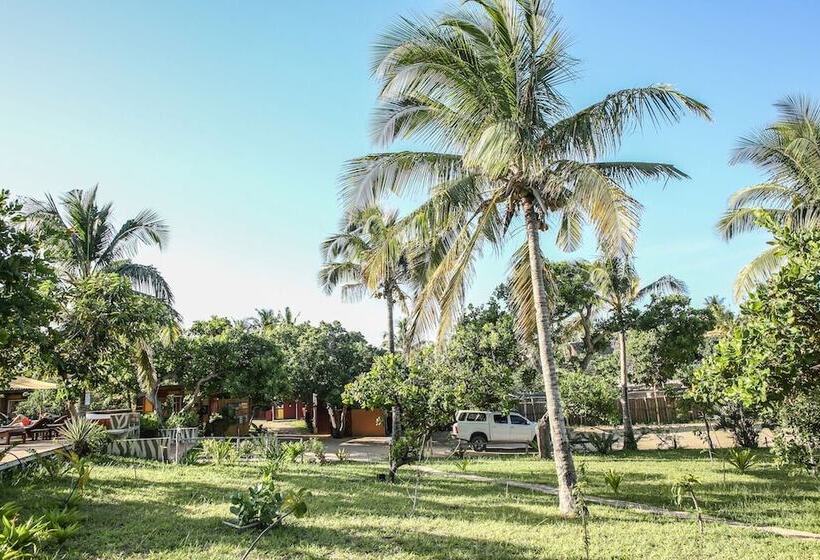 מיטה בחדר משותף, Mozambeat Motel