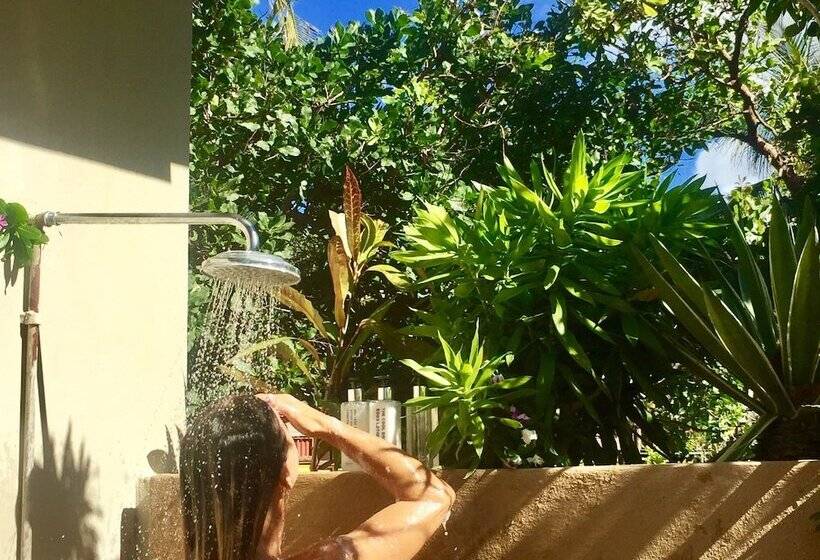 공동 객실, Mozambeat Motel