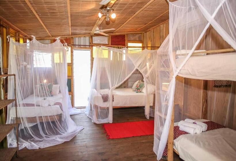 בונגלו סטנדרט עם נוף לגינה, Mozambeat Motel