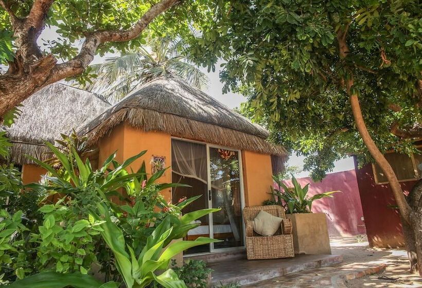 스탠다드 룸, Mozambeat Motel