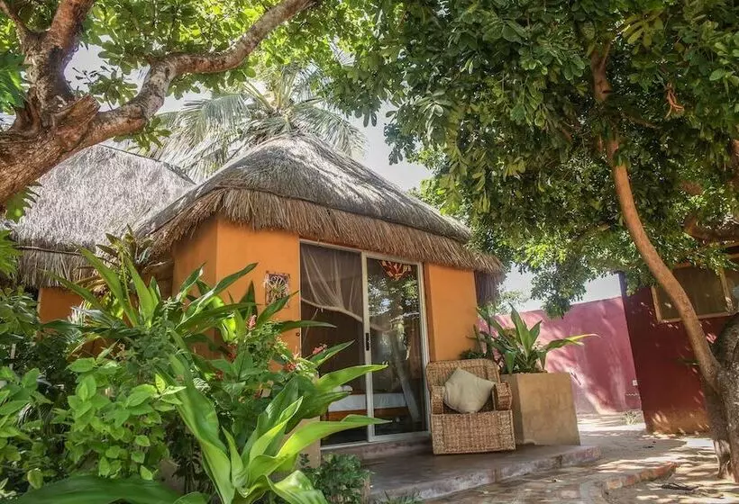 اتاق استاندارد, Mozambeat Motel