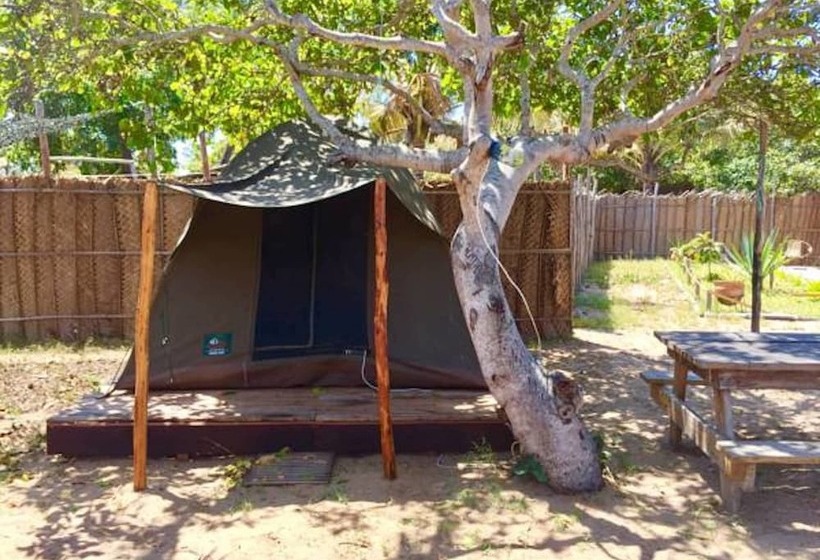 Standard Tent, Mozambeat Motel