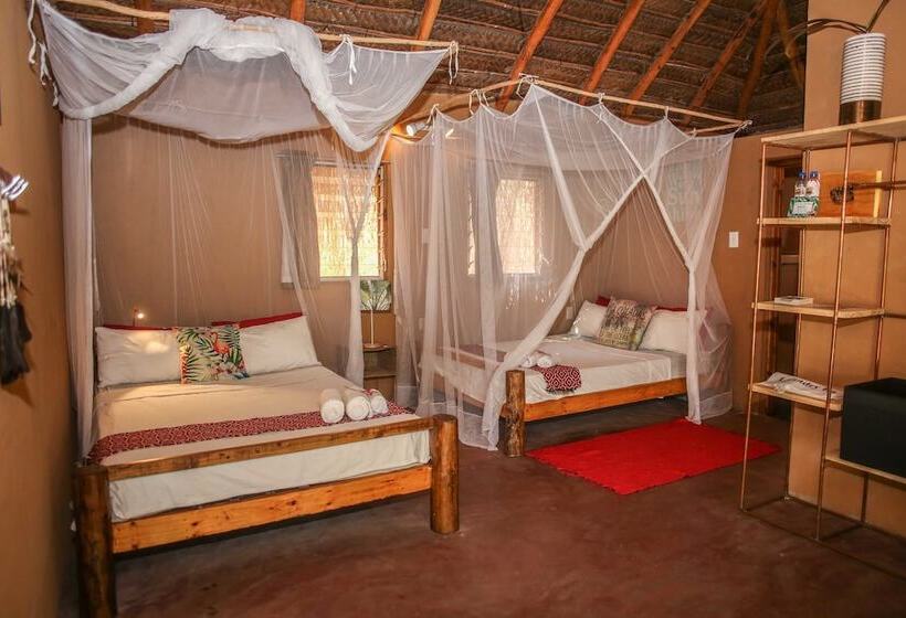 스탠다드 룸, Mozambeat Motel