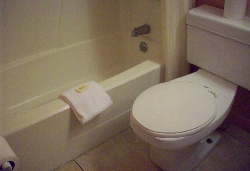 Номер Стандарт, All Suite Motel