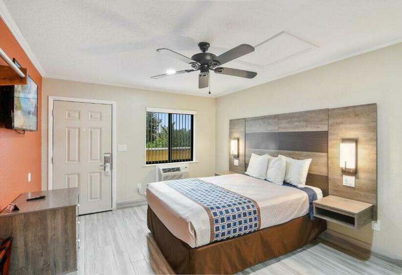 StandaardKamer, Anthony's On The Beach