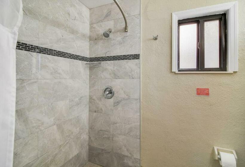 StandaardKamer, Anthony's On The Beach