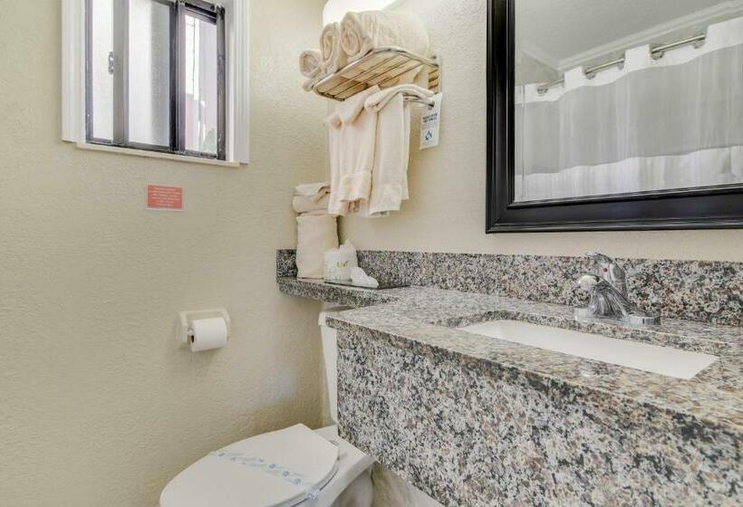 StandaardKamer, Anthony's On The Beach