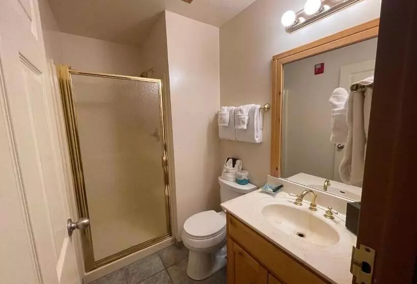 １階の１ベッドルームアパートメント, Appenzell Inn