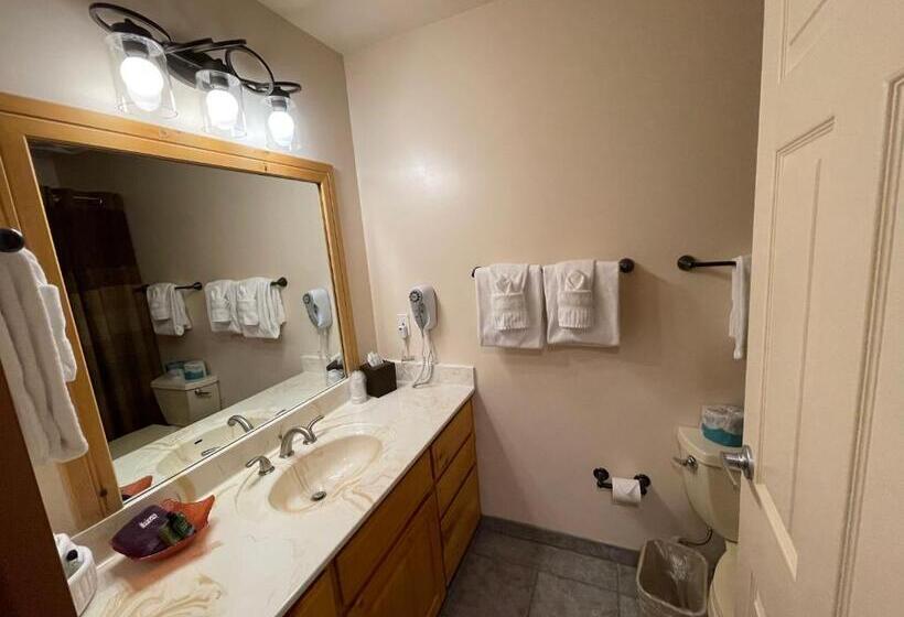 דירת חדר בקומת קרקע, Appenzell Inn