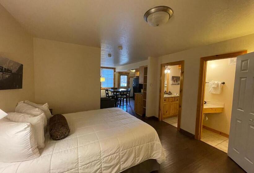 Студия Стандарт, Appenzell Inn