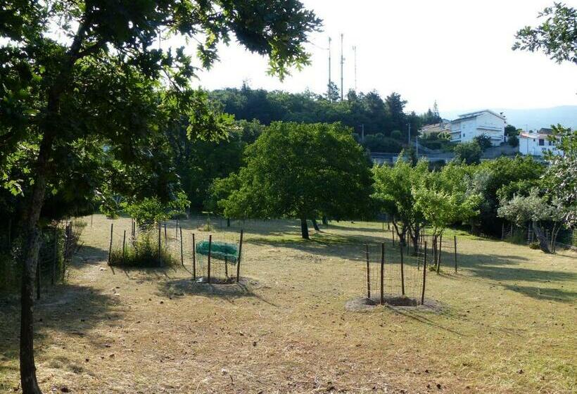 Студия Стандарт, Casas Do Toural