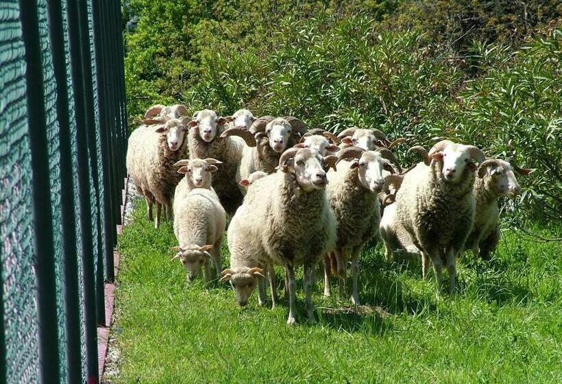 Студия Стандарт, Casas Do Toural