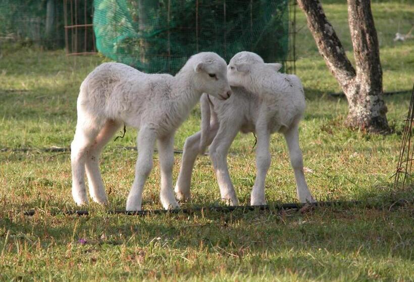 Апартаменты 1 Спальня, Casas Do Toural