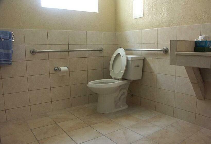 غرفة قياسية سرير كينج, Gainesville Lodge