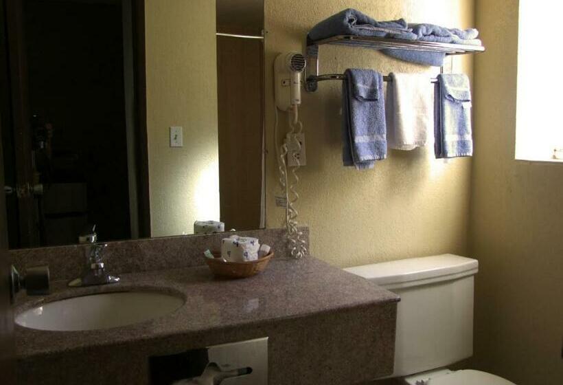 غرفة قياسية سرير كينج, Gainesville Lodge