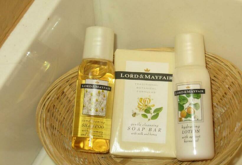 غرفة قياسية, Old Town Inn