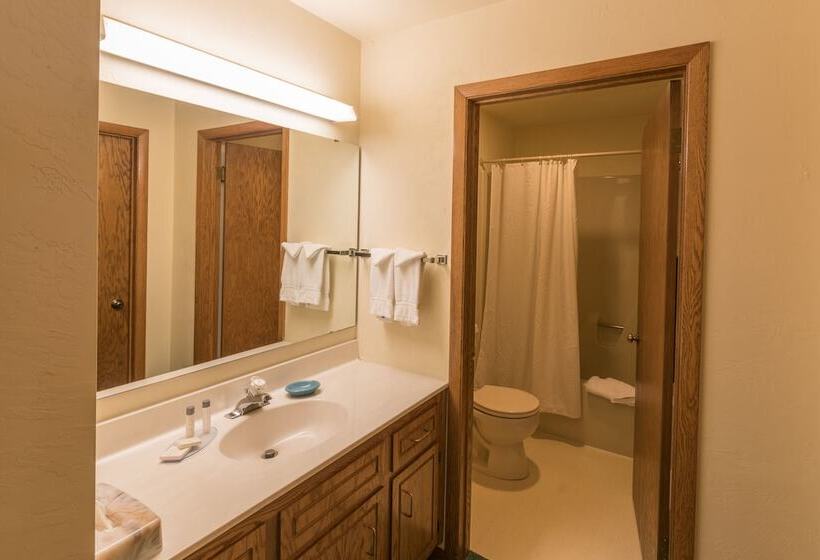 חדר סטנדרט, Somerset Inn & Suites