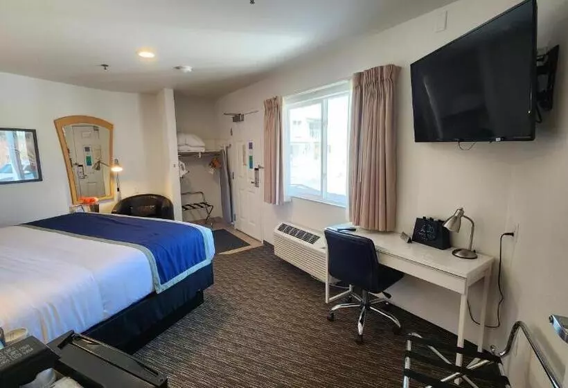 身障者適用スタンダードルーム, South Pier Inn