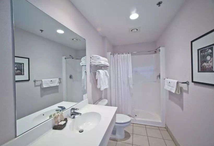 エグゼクティブ スイート、眺望あり, South Pier Inn