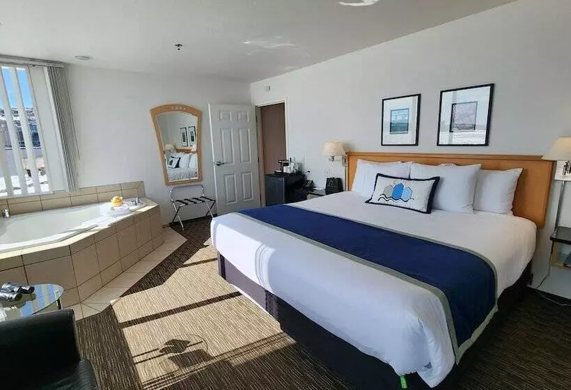 身障者適用ジュニアスイートルーム, South Pier Inn