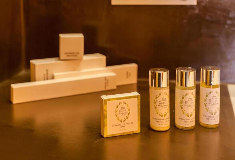 Camera Standard con Terrazza, Viento10