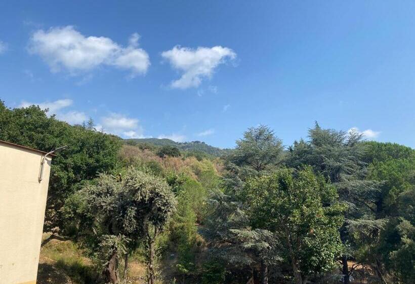 Студия Стандарт, Domaine Des Anges 2