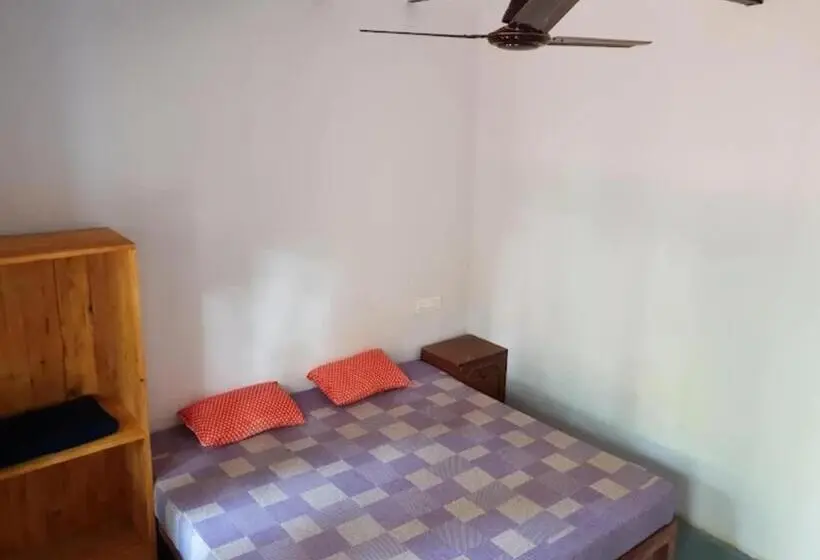 Economy Room, Cocks Town