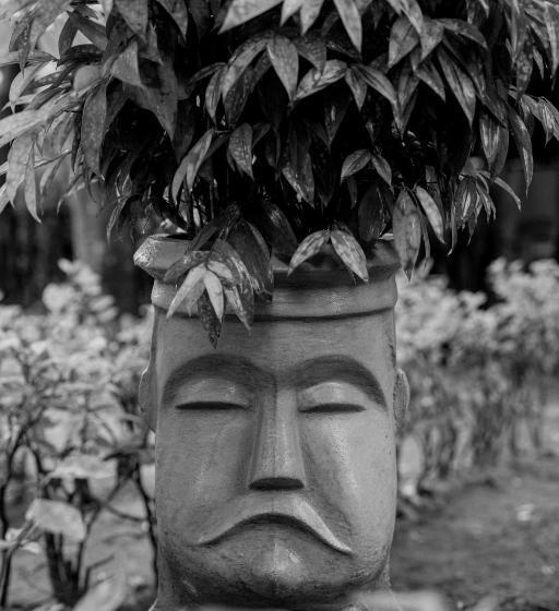 Номер Deluxe, Talalla Fire Fly