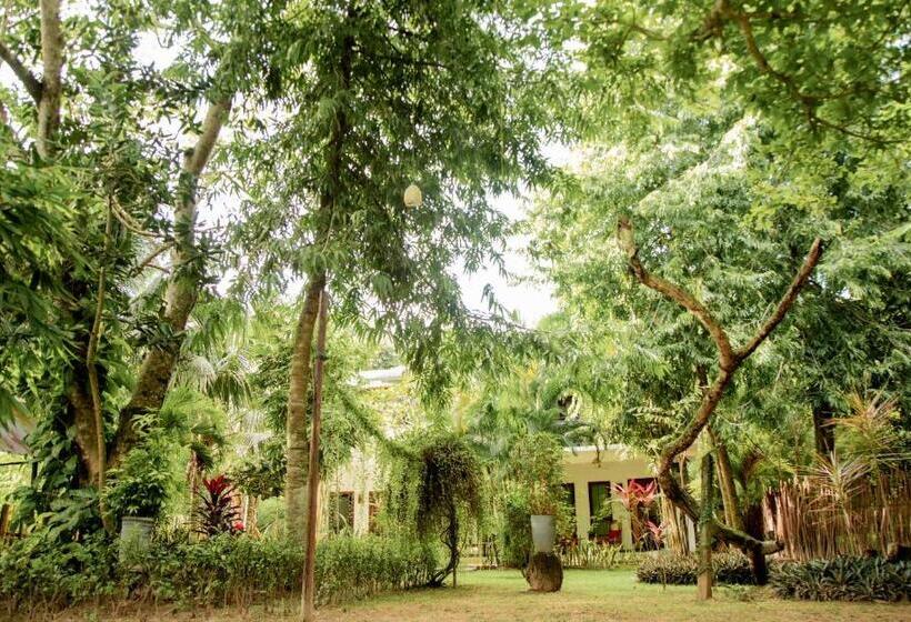 Номер Deluxe, Talalla Fire Fly