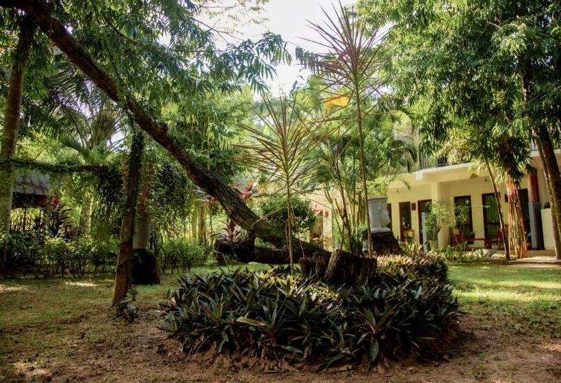 Номер Deluxe, Talalla Fire Fly